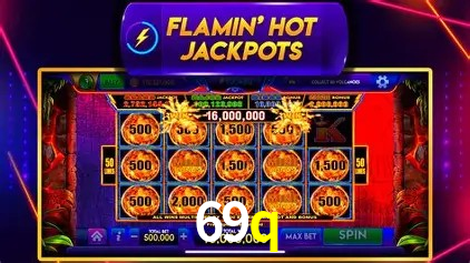 Flash Promotion 69q